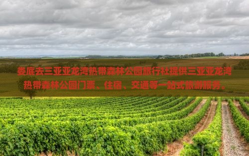 娄底去三亚亚龙湾热带森林公园旅行社