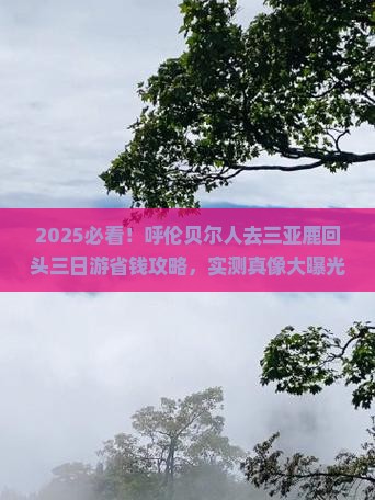 呼伦贝尔去三亚鹿回头三日游