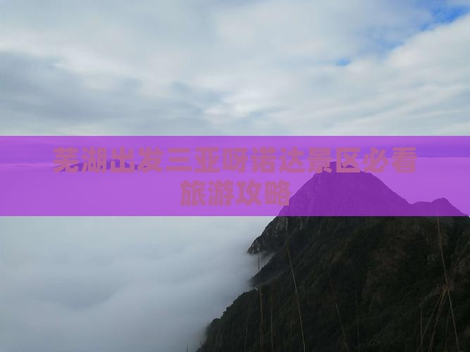 芜湖出发三亚呀诺达景区自由行