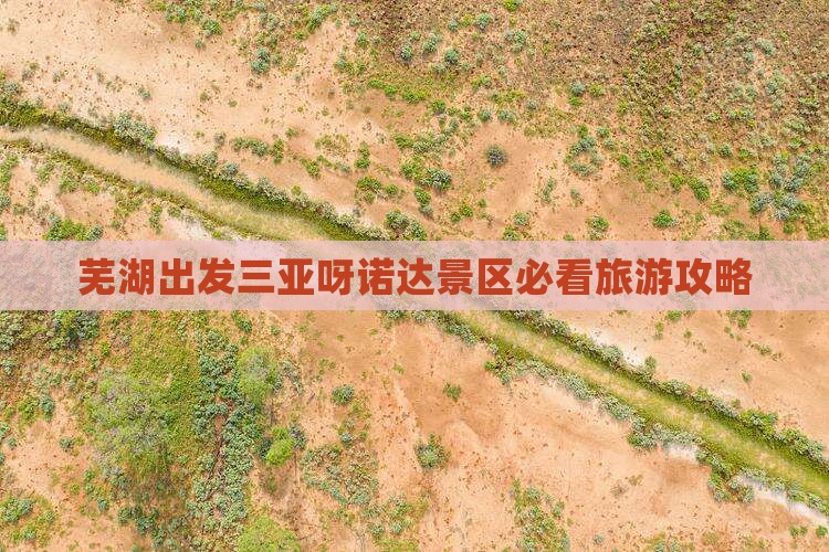芜湖出发三亚呀诺达景区自由行
