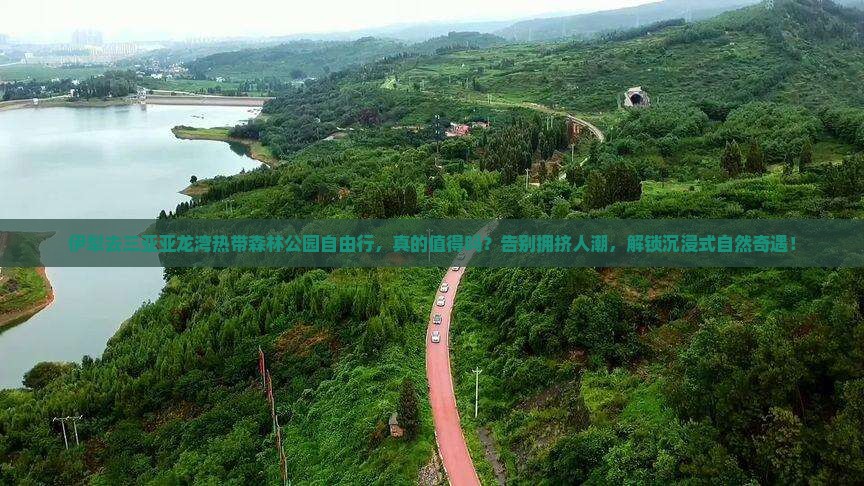 伊犁去三亚亚龙湾热带森林公园自由行