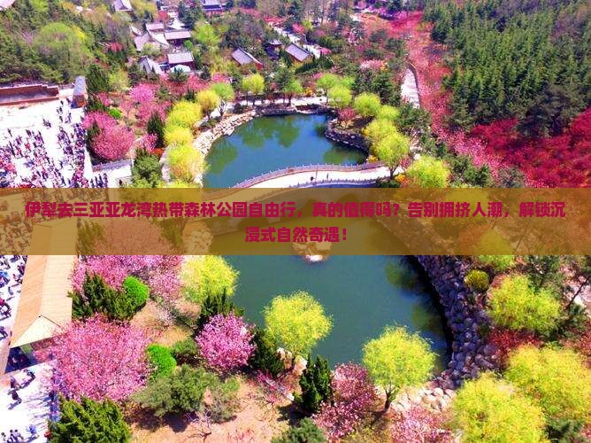 伊犁去三亚亚龙湾热带森林公园自由行