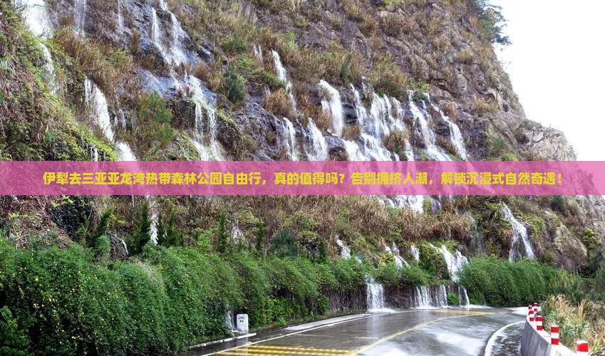 伊犁去三亚亚龙湾热带森林公园自由行