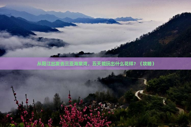 阳江前往三亚海棠湾五日游