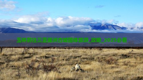 玉林前往三亚崖洲古城团体旅游