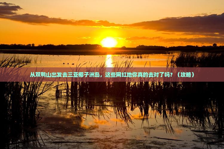 双鸭山出发三亚椰子洲岛旅游网红地点
