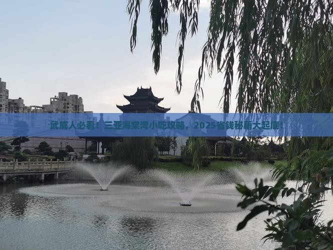 武威去三亚海棠湾旅游小吃