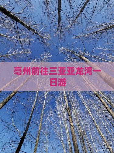 亳州前往三亚亚龙湾一日游