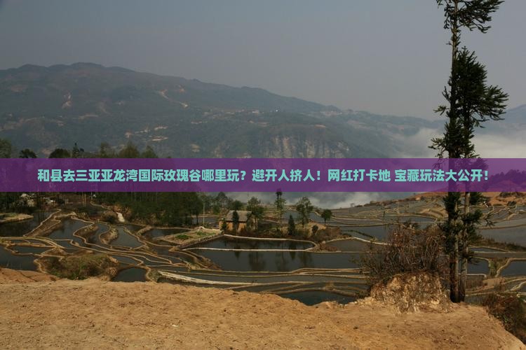 和县去三亚亚龙湾国际玫瑰谷哪里玩