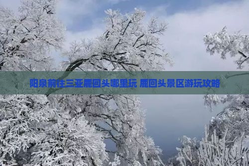阳泉前往三亚鹿回头哪里玩