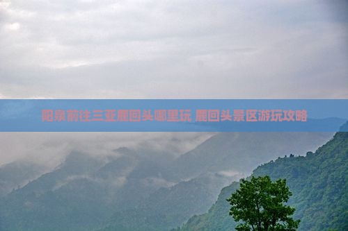 阳泉前往三亚鹿回头哪里玩