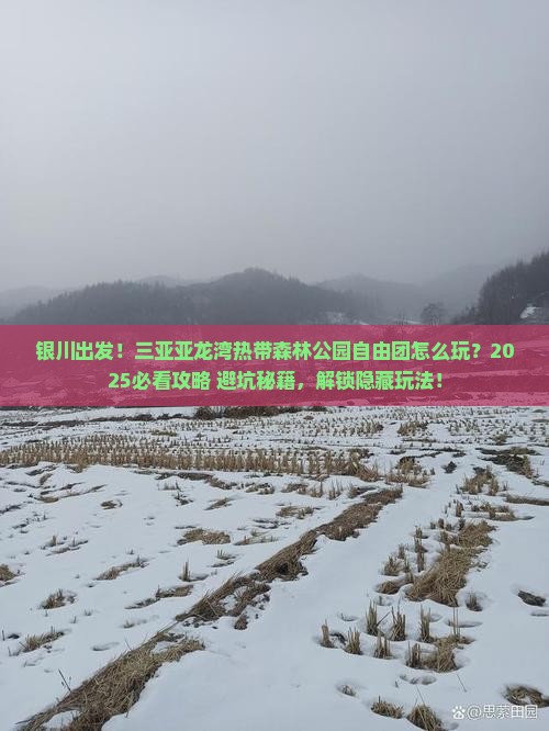 银川出发三亚亚龙湾热带森林公园自由团