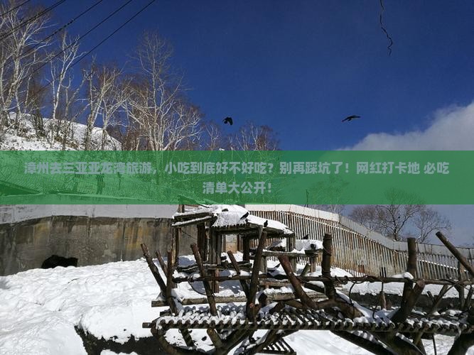 漳州前往三亚亚龙湾旅游小吃