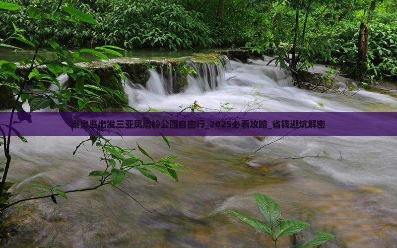 秦皇岛出发三亚凤凰岭公园自由行