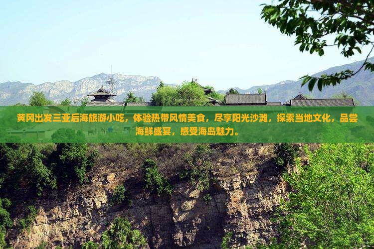 黄冈出发三亚后海旅游小吃