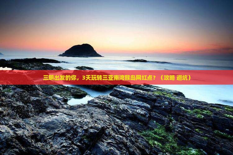 三明出发三亚南湾猴岛旅游网红地点