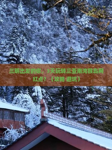 三明出发三亚南湾猴岛旅游网红地点