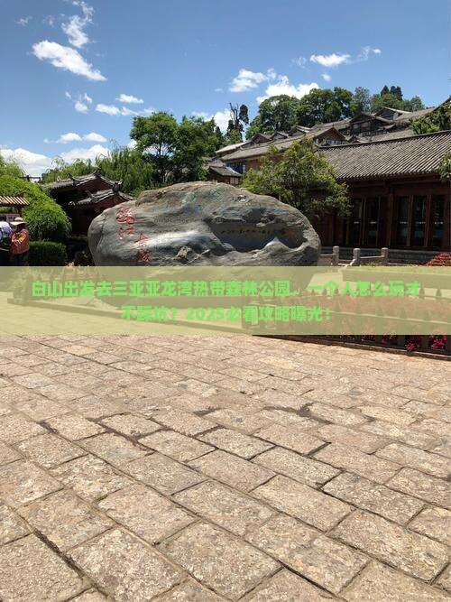 白山去三亚亚龙湾热带森林公园个人游