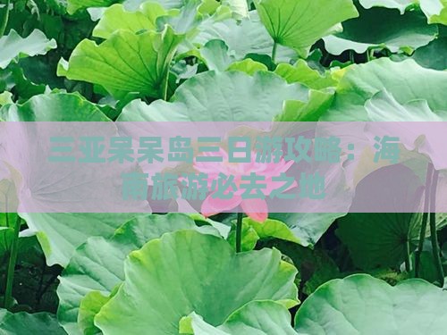 和县去三亚呆呆岛三日游