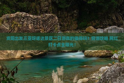 资阳出发三亚呀诺达景区二日游