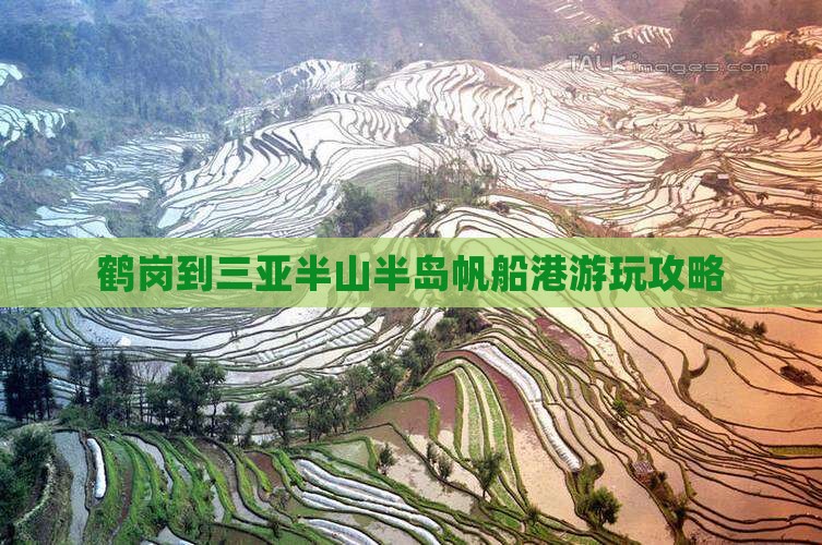 鹤岗到三亚半山半岛帆船港游玩攻略