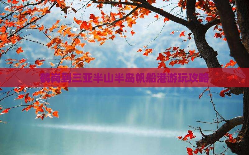 鹤岗到三亚半山半岛帆船港游玩攻略