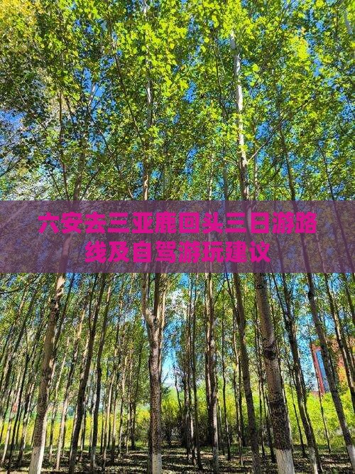 六安去三亚鹿回头三日游路线及自驾游玩建议