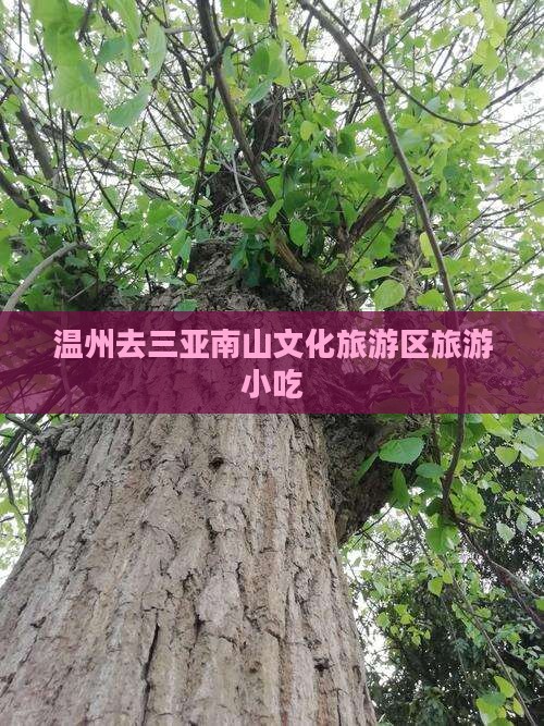 温州去三亚南山文化旅游区旅游小吃