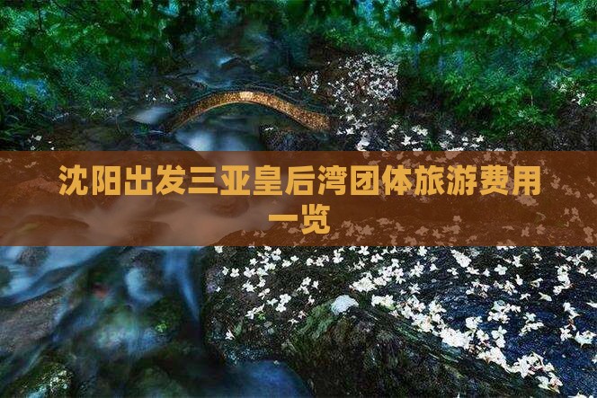 沈阳出发三亚皇后湾团体旅游费用一览