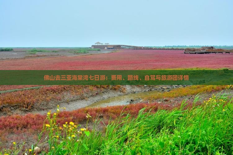 佛山去三亚海棠湾七日游：费用、路线、自驾与旅游团详情