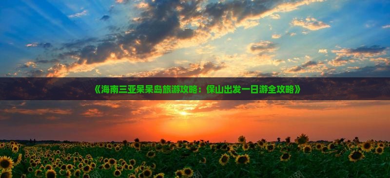 《海南三亚呆呆岛旅游攻略：保山出发一日游全攻略》