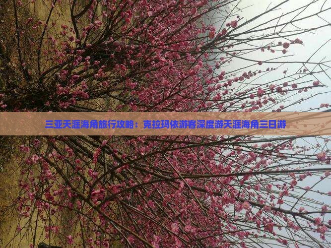 三亚天涯海角旅行攻略：克拉玛依游客深度游天涯海角三日游
