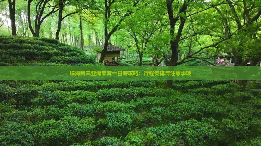 珠海到三亚海棠湾一日游攻略：行程安排与注意事项