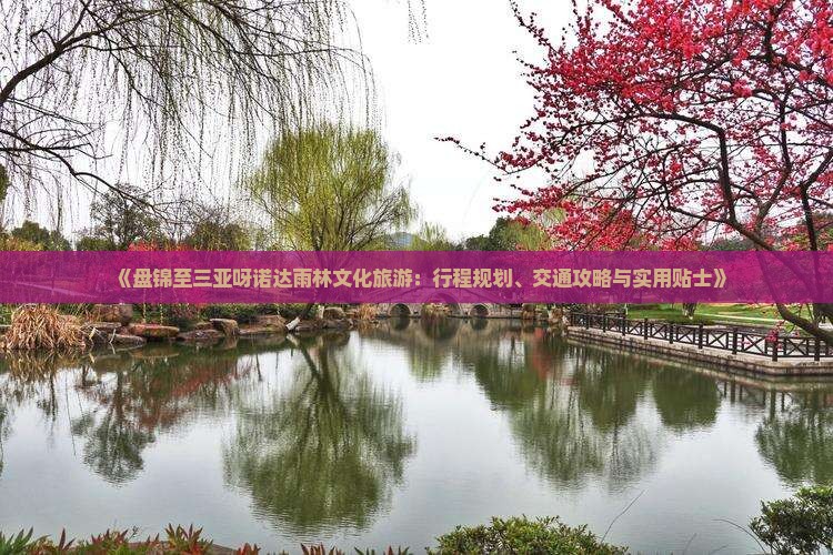 《盘锦至三亚呀诺达雨林文化旅游：行程规划、交通攻略与实用贴士》