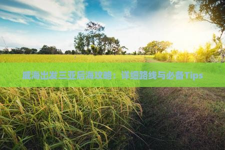 威海出发三亚后海攻略：详细路线与必备Tips
