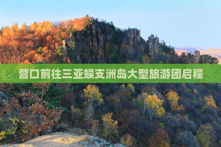 营口前往三亚蜈支洲岛大型旅游团启程