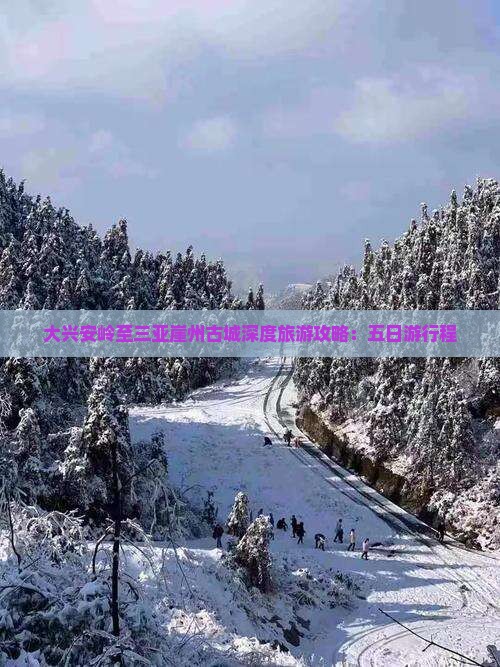 大兴安岭至三亚崖州古城深度旅游攻略：五日游行程