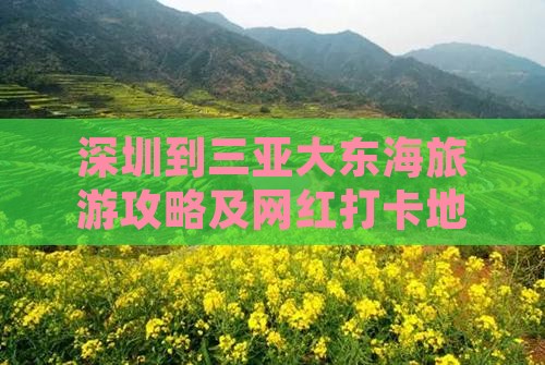 深圳到三亚大东海旅游攻略及网红打卡地推荐