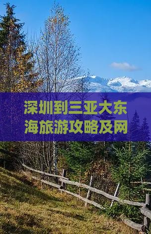 深圳到三亚大东海旅游攻略及网红打卡地推荐