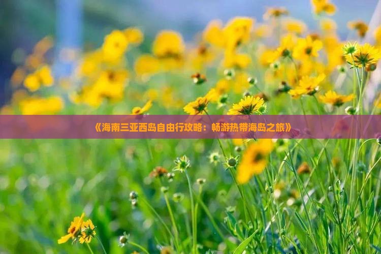 《海南三亚西岛自由行攻略：畅游热带海岛之旅》
