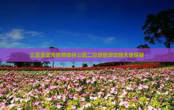 三亚亚龙湾热带森林公园二日游旅游攻略天堂探秘