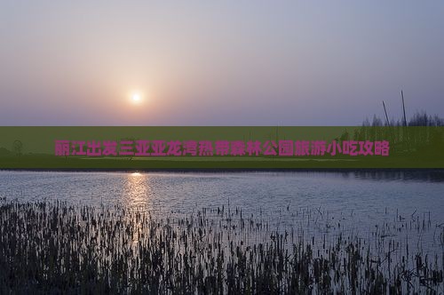 丽江出发三亚亚龙湾热带森林公园旅游小吃攻略