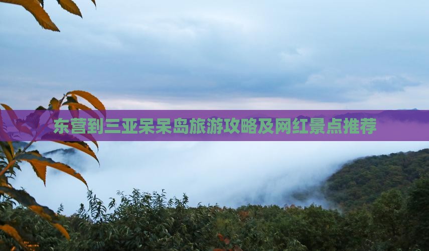 东营到三亚呆呆岛旅游攻略及网红景点推荐