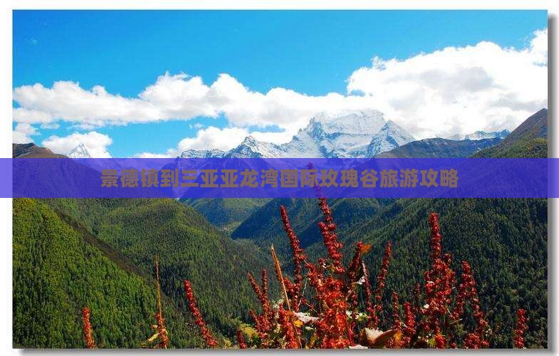 景德镇到三亚亚龙湾国际玫瑰谷旅游攻略