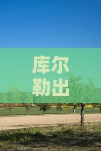 库尔勒出发：海南三亚椰子洲岛深度旅游攻略