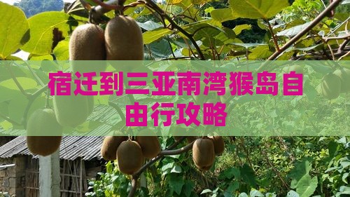 宿迁到三亚南湾猴岛自由行攻略