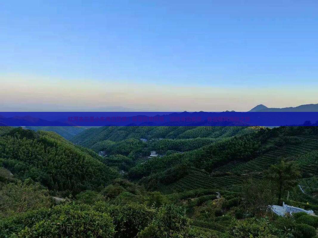红河去三亚小东海三日游：探寻热带风情，领略海岛美景，体验椰风海韵之旅