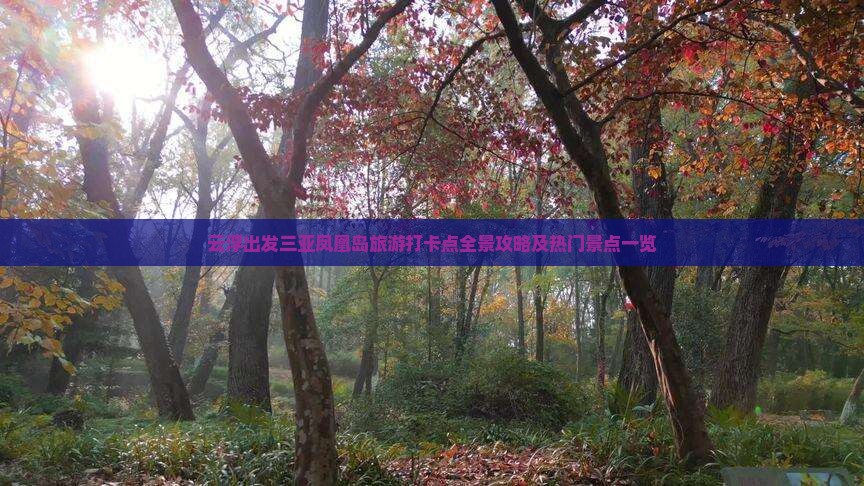 云浮出发三亚凤凰岛旅游打卡点全景攻略及热门景点一览