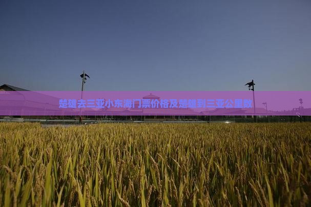 楚雄去三亚小东海门票价格及楚雄到三亚公里数
