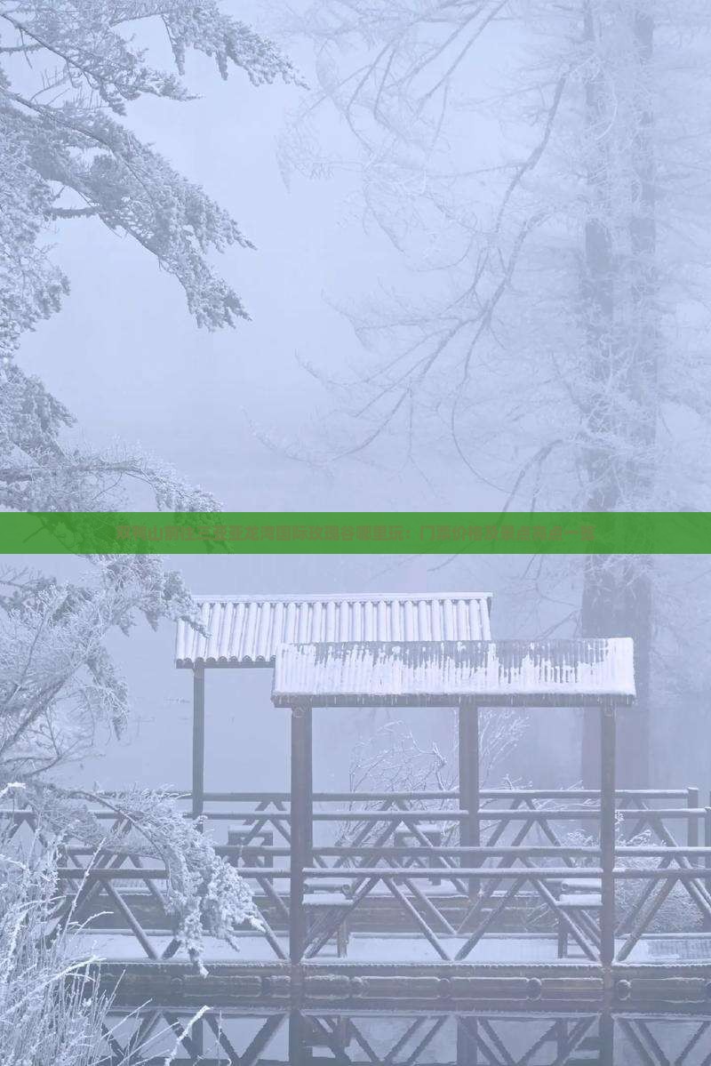 双鸭山前往三亚亚龙湾国际玫瑰谷哪里玩：门票价格及景点亮点一览